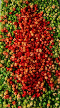 Load image into Gallery viewer, Holly Jolly Kettle Corn 🎄- Small